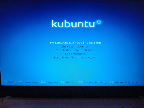 kubuntu 10.1 setup screen